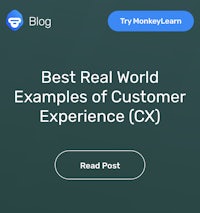 best real world examples of customer experience cx