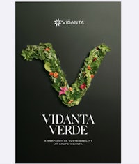 the cover of the book vidanta verde